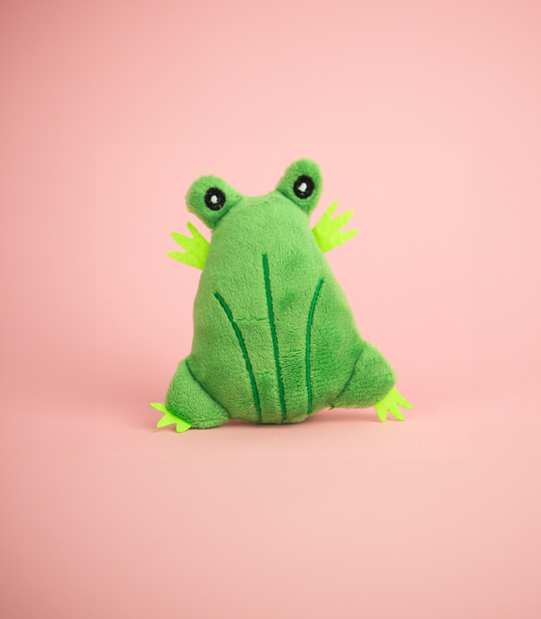 Frog Plush Catnip Toy - Cat Toy