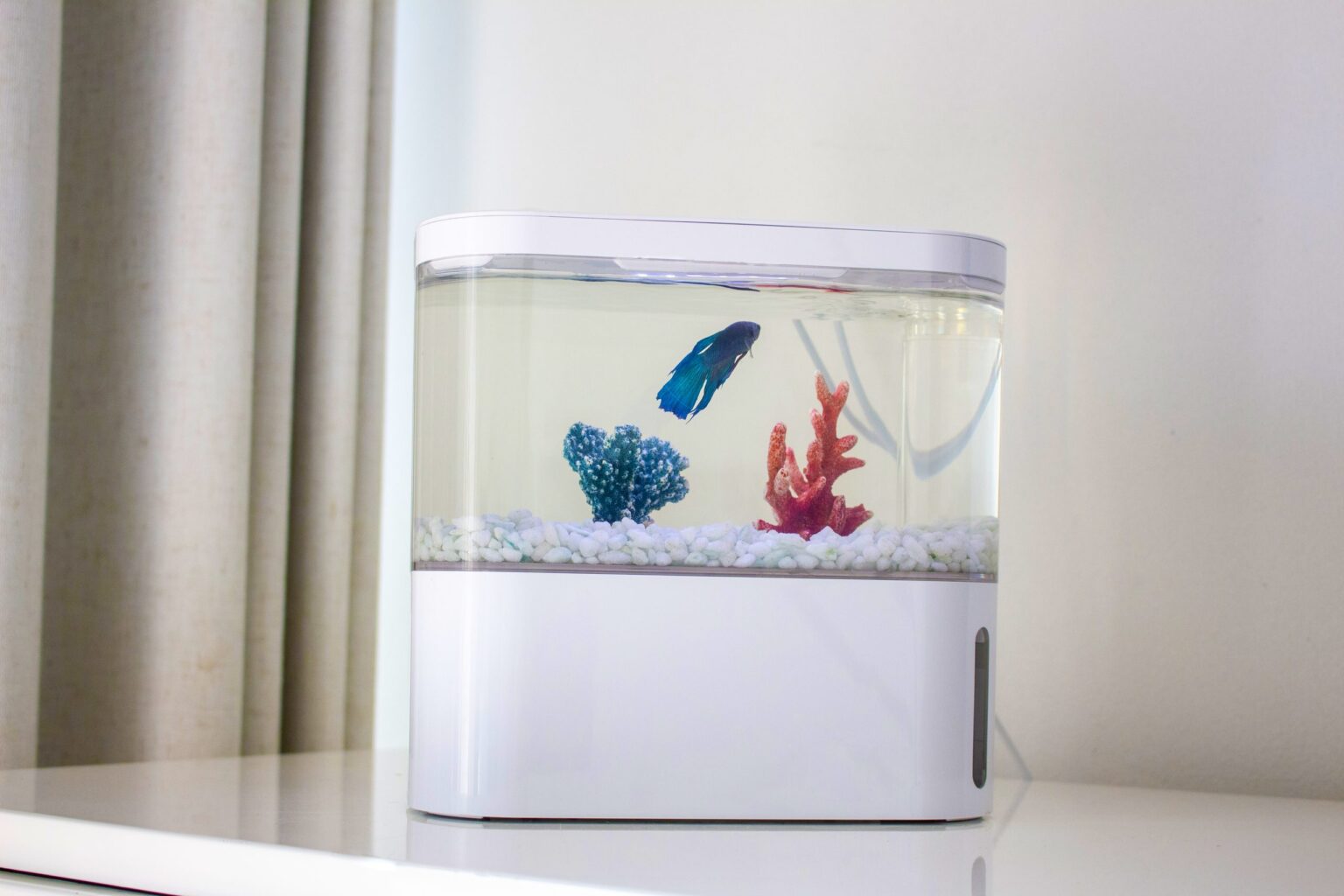Curated visual reference: Picture Idea: Pico Ecoflaura Fish Tank Snow White Ecoflaura