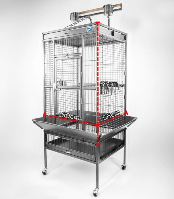 Cage 10