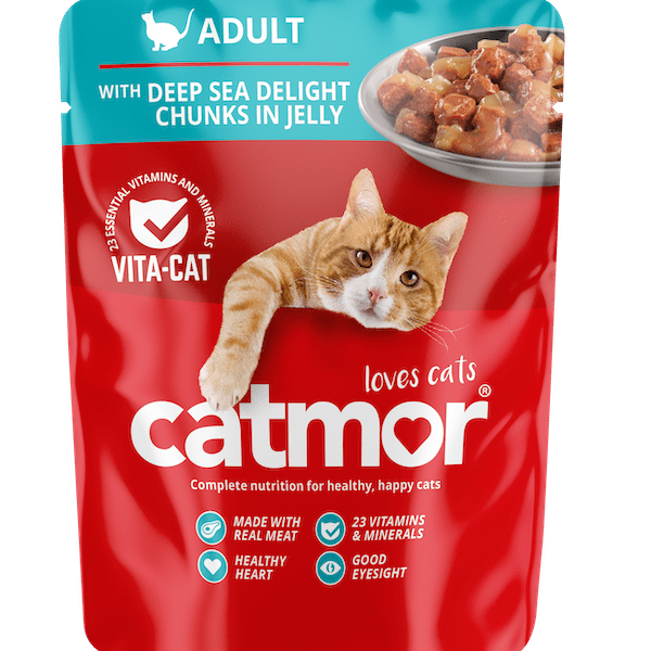 Catmor Adult wet food pouch, Deep Sea Delight Chunks in Jelly flavor, featuring an illustration of an orange and white cat.
