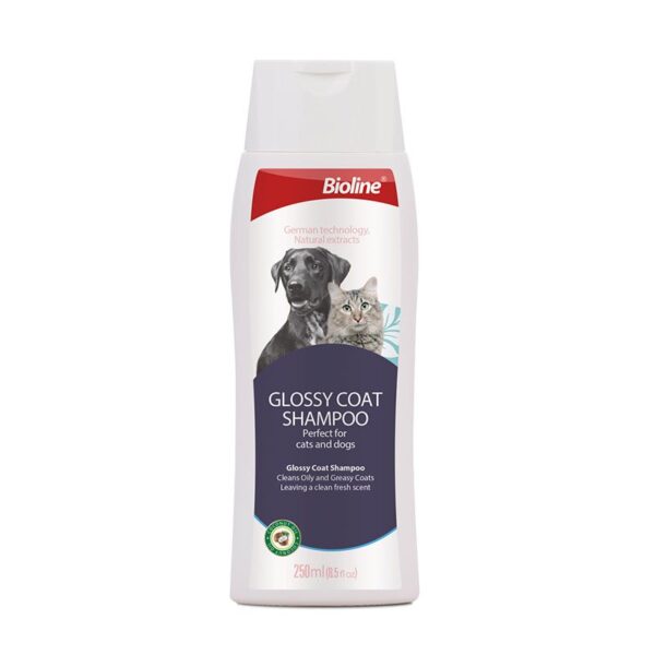 White plastic bottle of Bioline Glossy Coat Shampoo, 250ml size, suitable for cats and dogs, featuring images of a black lab dog and a tabby cat on the label.
