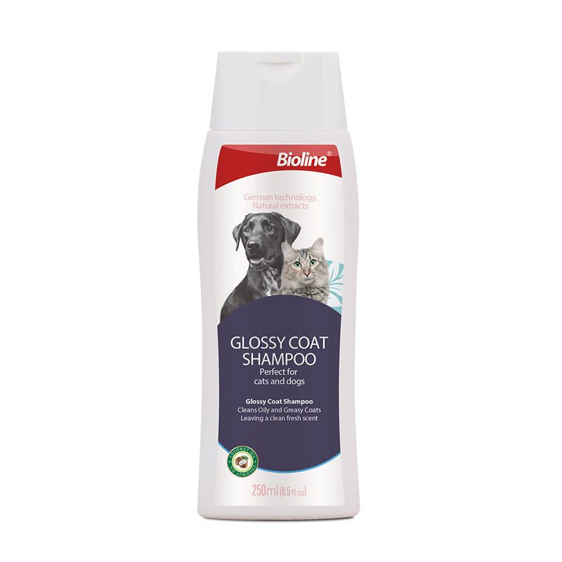 White plastic bottle of Bioline Glossy Coat Shampoo, 250ml size, suitable for cats and dogs, featuring images of a black lab dog and a tabby cat on the label.