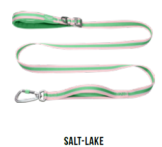 Doco Vertex Double Handle Walking/Traffic Hiking Leash, model Salt-Lake. A long leash with pink and green stripes, featuring a green padded handle and a silver carabiner clip.