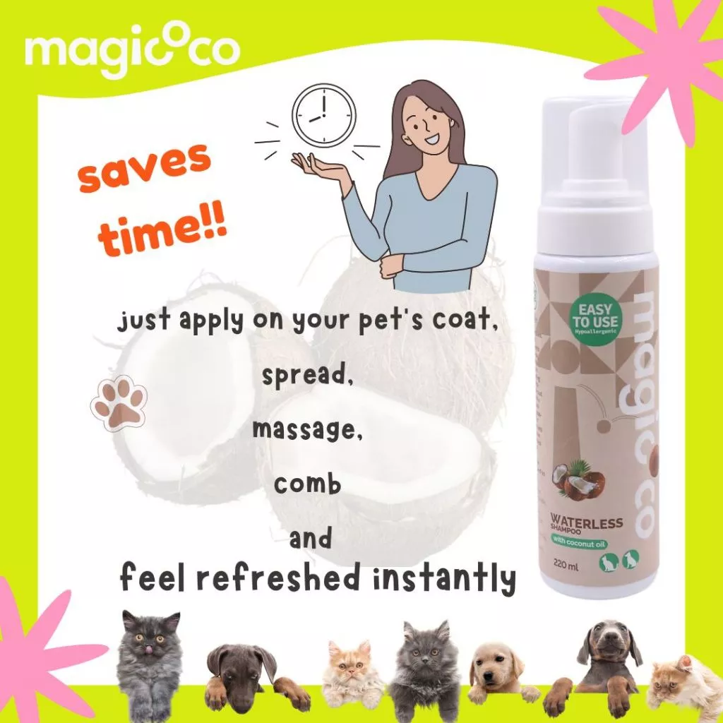 Product advertisement for magicoco Waterless Shampoo (220 ml) featuring a woman with a clock graphic and the text "saves time!!" The directions are listed: just apply on your pet's coat, spread, massage, comb and feel refreshed instantly. A row of puppies and kittens peer from the bottom.