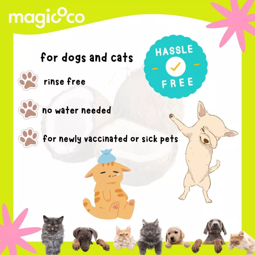 Product advertisement for magicoco Waterless Shampoo listing its uses: for dogs and cats, rinse free, no water needed, and for newly vaccinated or sick pets. The graphic features an illustration of a sick kitten with an ice pack and a dog standing in a celebratory pose, labeled "HASSLE FREE".