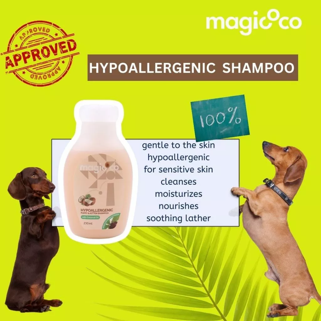 Product advertisement for magicoco Hypoallergenic Shampoo (230 ml) featuring two Dachshunds posing next to the product bottle. A large "APPROVED" stamp is visible, and the text lists benefits: gentle to the skin, hypoallergenic for sensitive skin, cleanses, moisturizes, nourishes, and soothing lather.