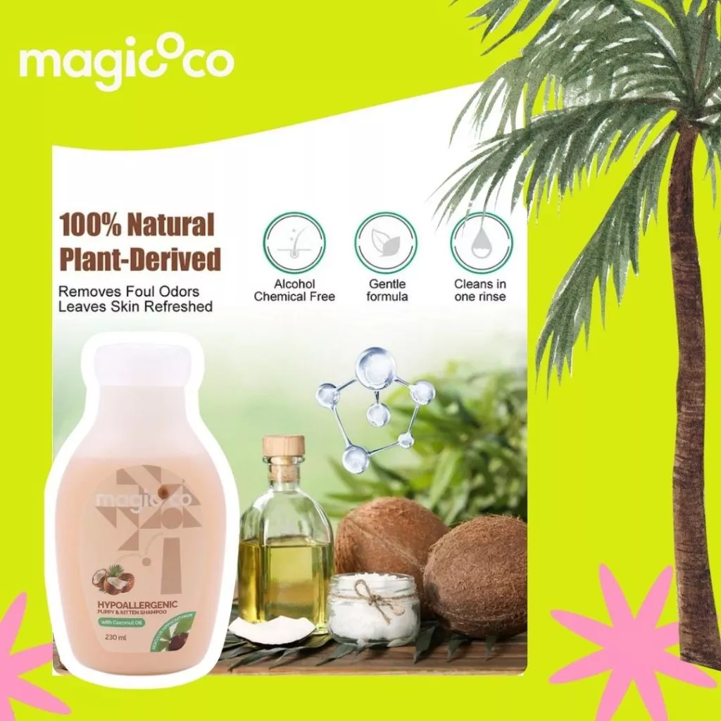 Product advertisement for magicoco Hypoallergenic Shampoo (230 ml) emphasizing its natural derivation with the text "100% Natural Plant-Derived," and icons for Alcohol Chemical Free, Gentle formula, and Cleans in one rinse. The image includes coconuts, coconut oil, and a molecular structure graphic over a leafy background.