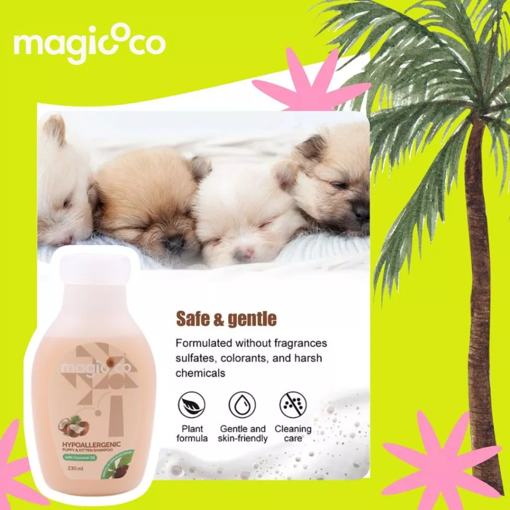 Product advertisement for magicoco Hypoallergenic Puppy & Kitten Shampoo (230 ml) showing three sleeping puppies resting together. Text highlights the product as "Safe & gentle", formulated without fragrances, sulfates, colorants, and harsh chemicals, and features icons for Plant formula, Gentle and skin-friendly, and Cleaning care.