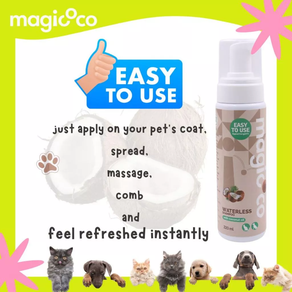 Product advertisement for magicoco Waterless Shampoo (220 ml) emphasizing the convenience with a large thumbs-up icon and the text "EASY TO USE." The application steps are listed: just apply on your pet's coat, spread, massage, comb and feel refreshed instantly. A row of puppies and kittens peer from the bottom.