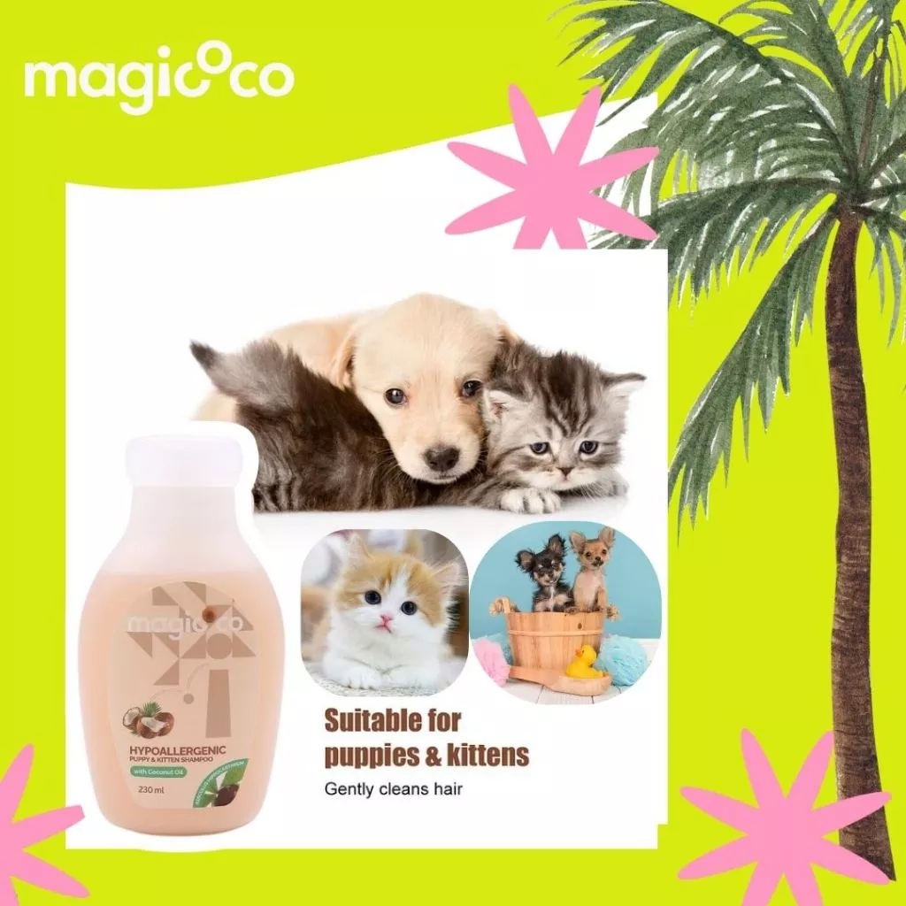 Product advertisement for magicoco Hypoallergenic Puppy & Kitten Shampoo (230 ml) featuring a collage of puppies and kittens, including two Chihuahua puppies in a wooden bath bucket. The text confirms the product is "Suitable for puppies & kittens" and "Gently cleans hair."