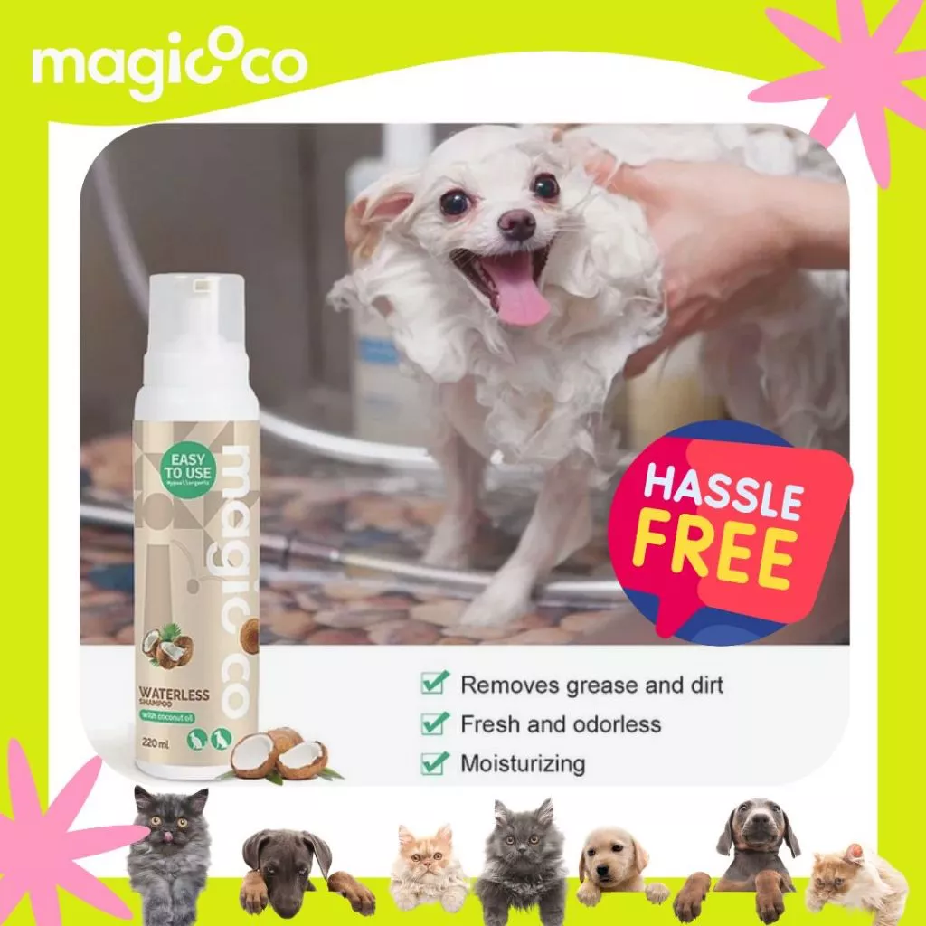 Product advertisement for magicoco Waterless Shampoo (220 ml) showing a small white dog being "washed" and smiling happily, covered in foam. The large bubble reads "HASSLE FREE," and the checklist lists benefits: Removes grease and dirt, Fresh and odorless, and Moisturizing.