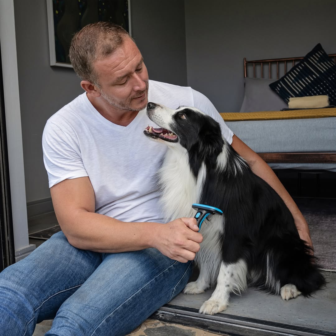A man with a white T-shirt and jeans is sitting outside on a porch step, gently holding a black and white Border Collie dog while using a blue and black Zugo Self Cleaning Deshedding Dog Brush on its coat.