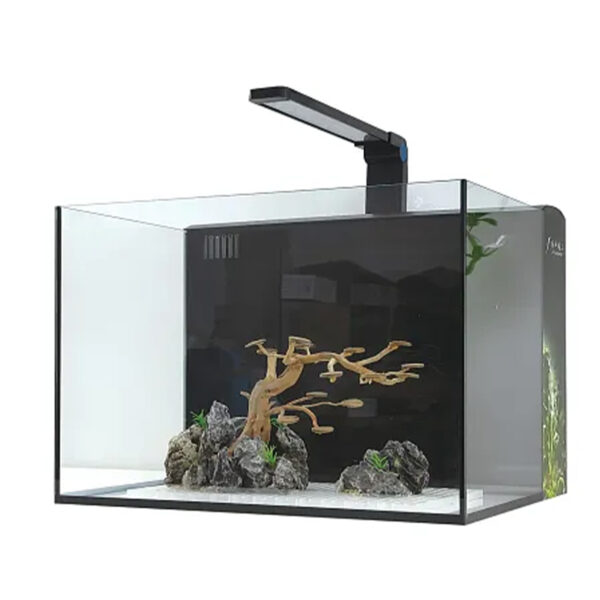 A clear, cube-shaped Jiyan XP Series Frameless Aquarium (XP-20) with black trim and a black lid, sitting on a white background. The small 7-liter tank contains blue gravel and a single green aquatic plant, and it is illuminated by the integrated full-spectrum LED light. The overall dimensions are 200 × 200 × 200 mm.