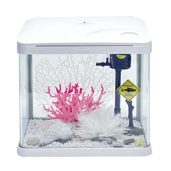 A clear, compact Jiyan XS Series Aquarium (XS-260) with a white frame and white lid, shown on a white background. The tank contains white gravel and decorative aquatic ornaments, including pink and white artificial coral, a large seashell, and a small internal filter pump. The dimensions are 240 × 170 × 270 mm.