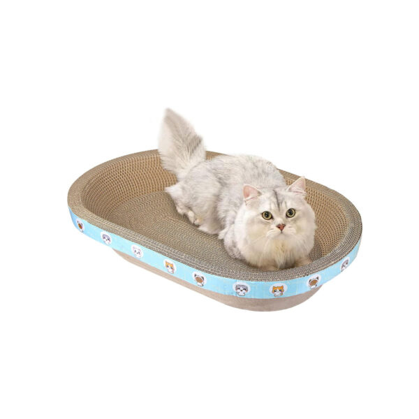 33 00001 SCRATCHER CAT OVAL CARTOON L 1320x1320