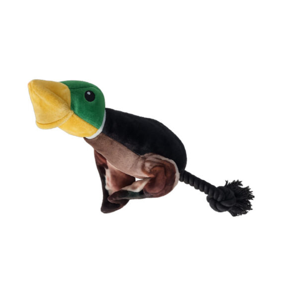 49 00016 Quackshot 1 840x840