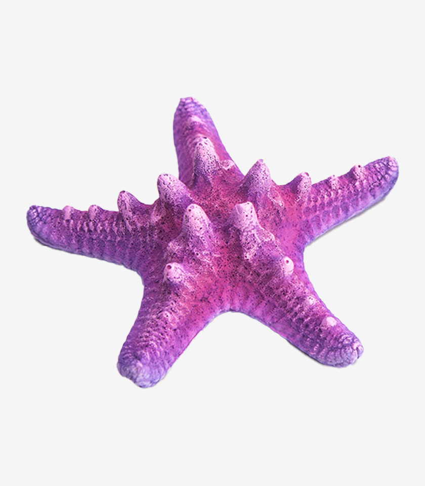 Pink Sea Star aquarium ornament, a vibrant five-pointed starfish with a speckled pink color and raised bumps.