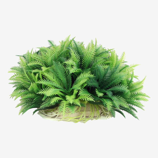 Green Bush aquarium ornament, a large, bushy plant with lush green feathery leaves and a light-colored base.