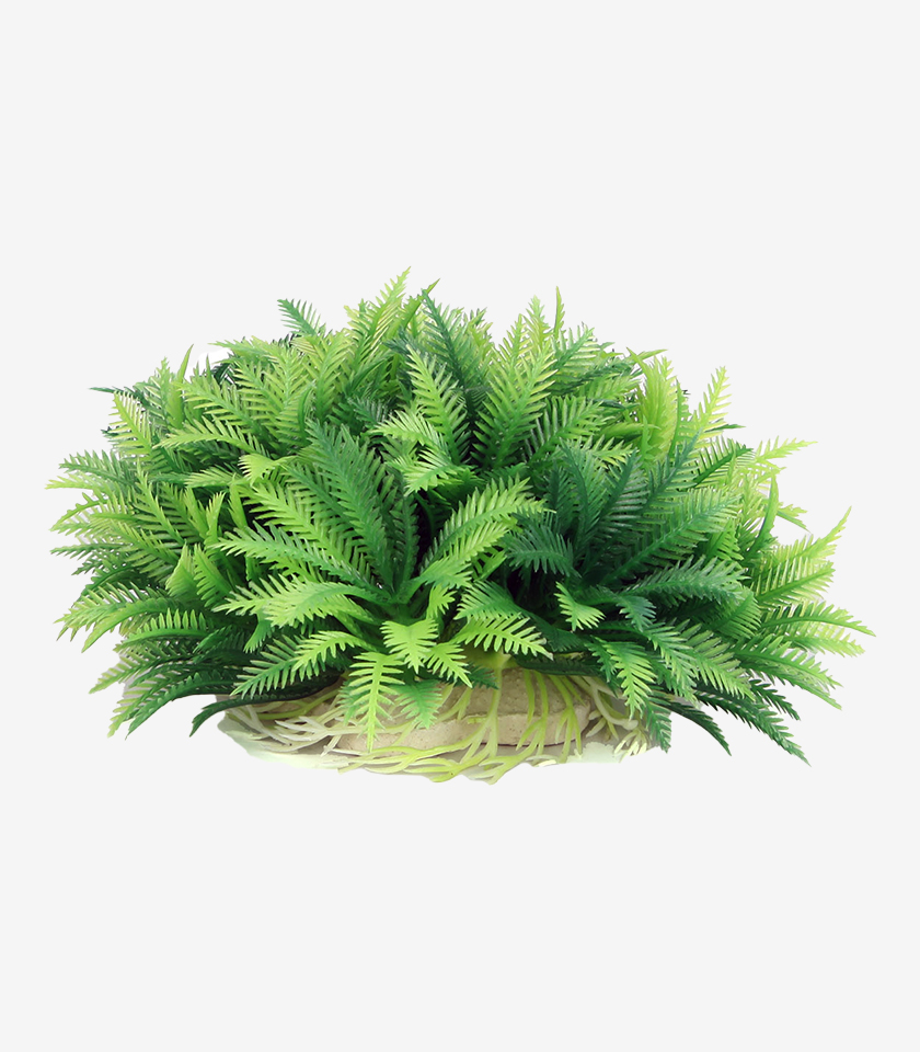 Green Bush aquarium ornament, a large, bushy plant with lush green feathery leaves and a light-colored base.