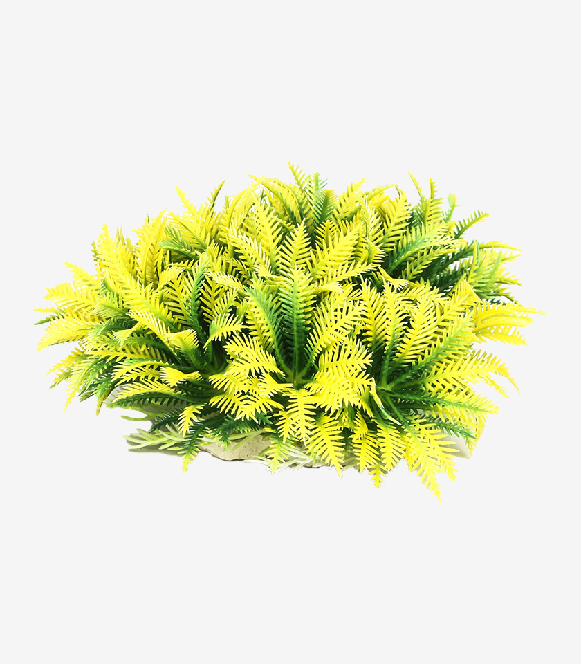 Yellow Bush aquarium decoration, a large, bushy plant with vibrant yellow and green feathery leaves.
