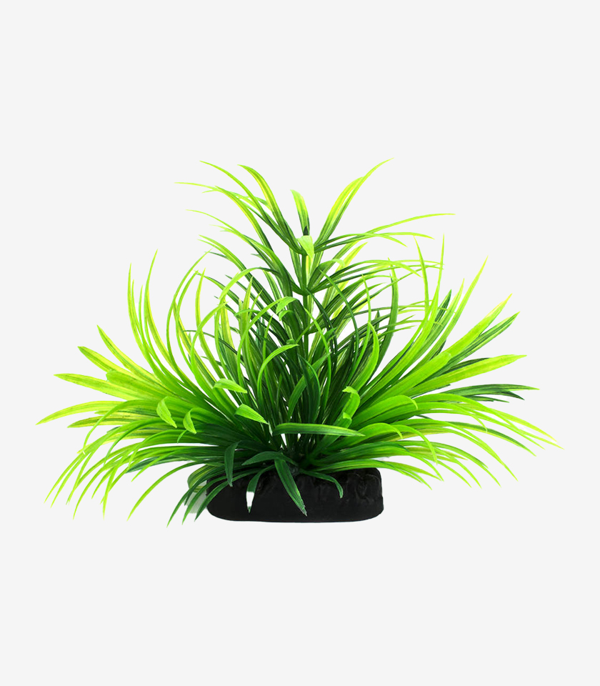 Green Fern aquarium ornament, a realistic cluster of long, thin fronds on a small dark base.