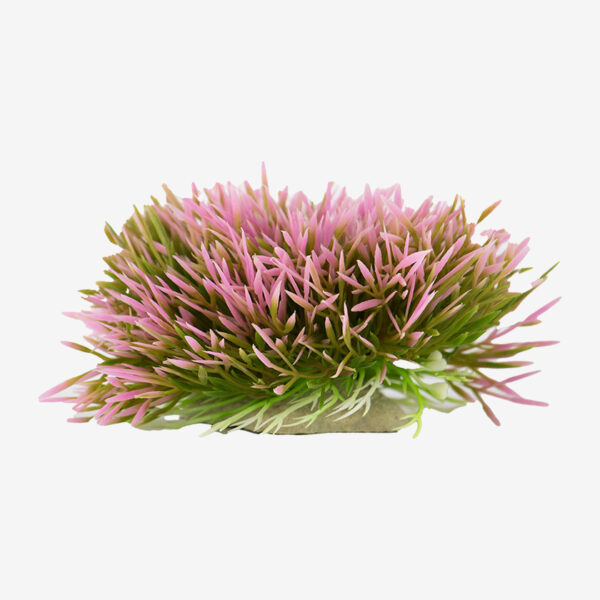 Rosy Shrub aquarium ornament, a low, bushy plant with a mix of spiky pink and green blades.