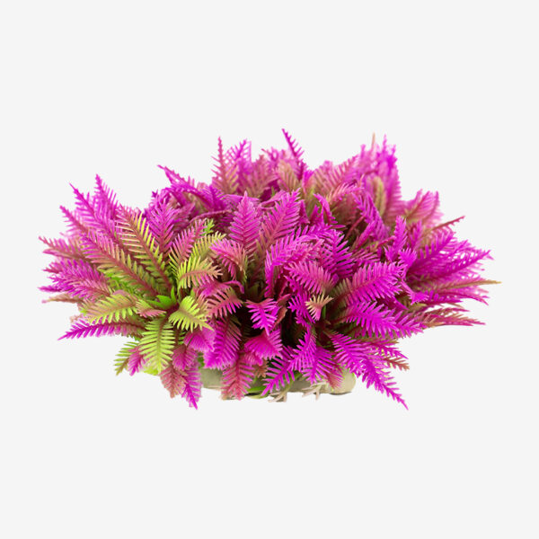 Ferny Pink Shrub aquarium ornament, a large, bushy plant with pink and green fronds and a feathery texture.