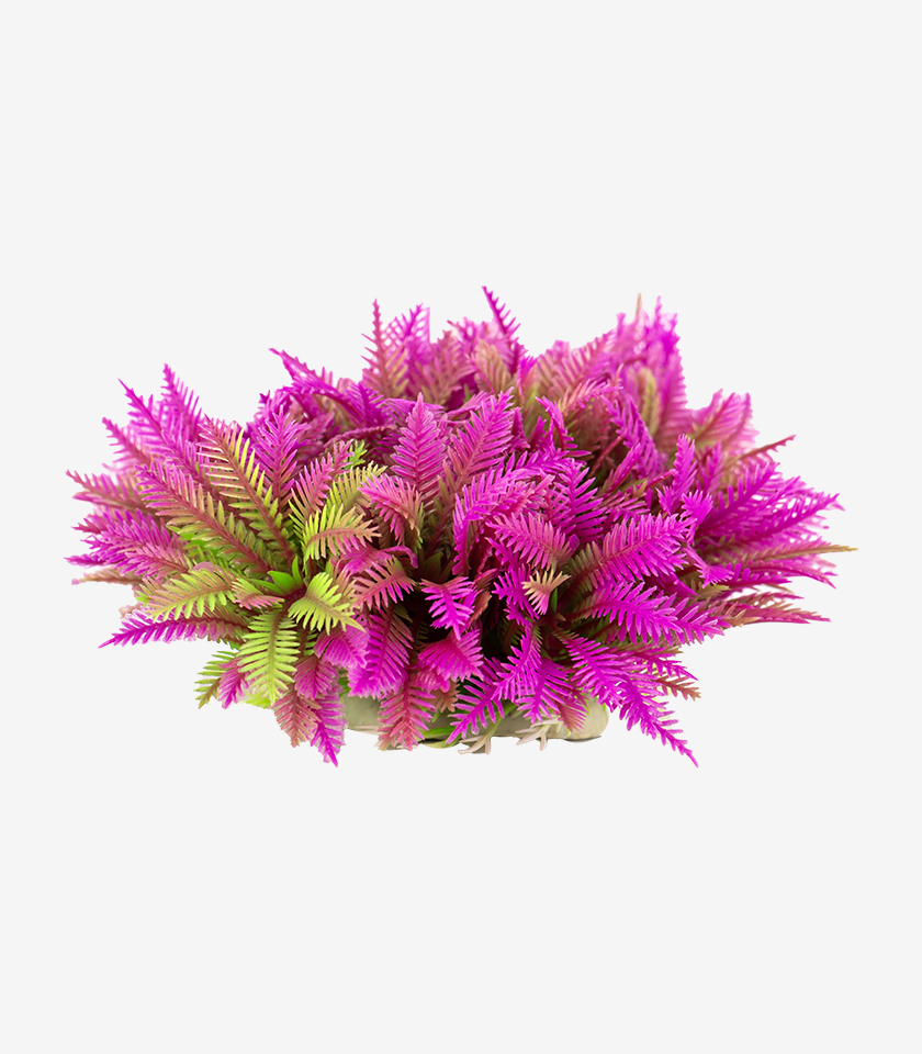 Ferny Pink Shrub aquarium ornament, a large, bushy plant with pink and green fronds and a feathery texture.