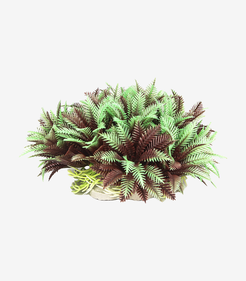 Peppermint Bush aquarium decoration, a large, bushy plant with lush green and brown feathery leaves.