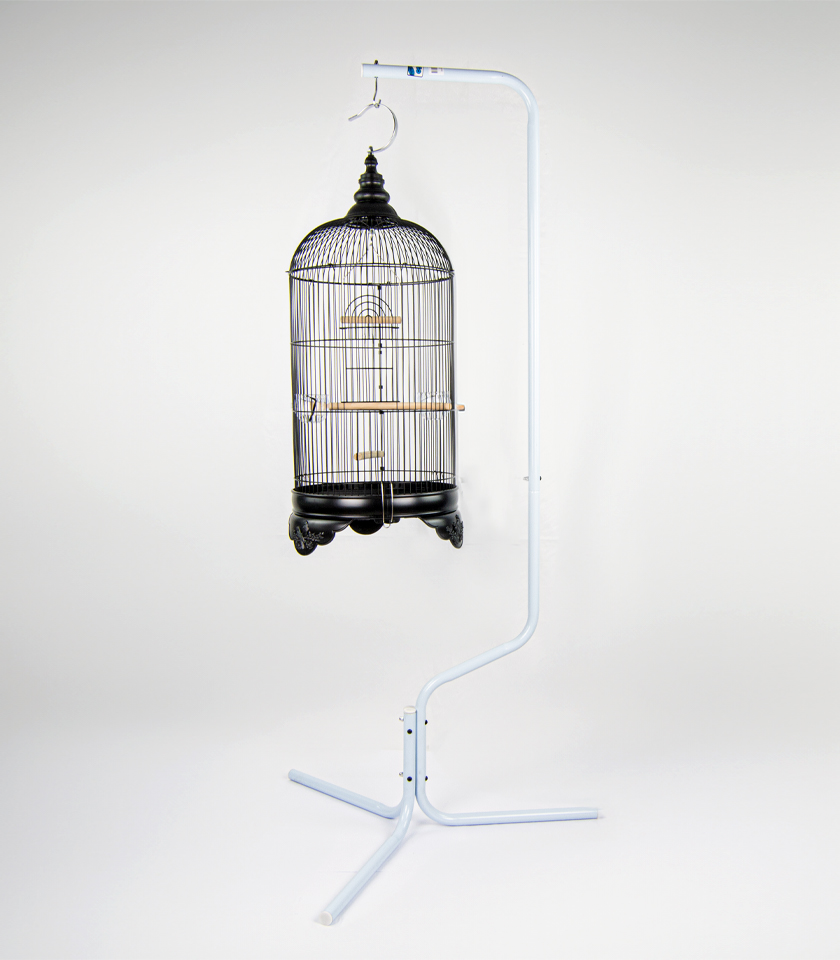 Zugo Aviary Bird Cage Stand, a tall white metal bird cage stand with a light blue speckled finish, with a curved top and hook, holding a black ornate bird cage.