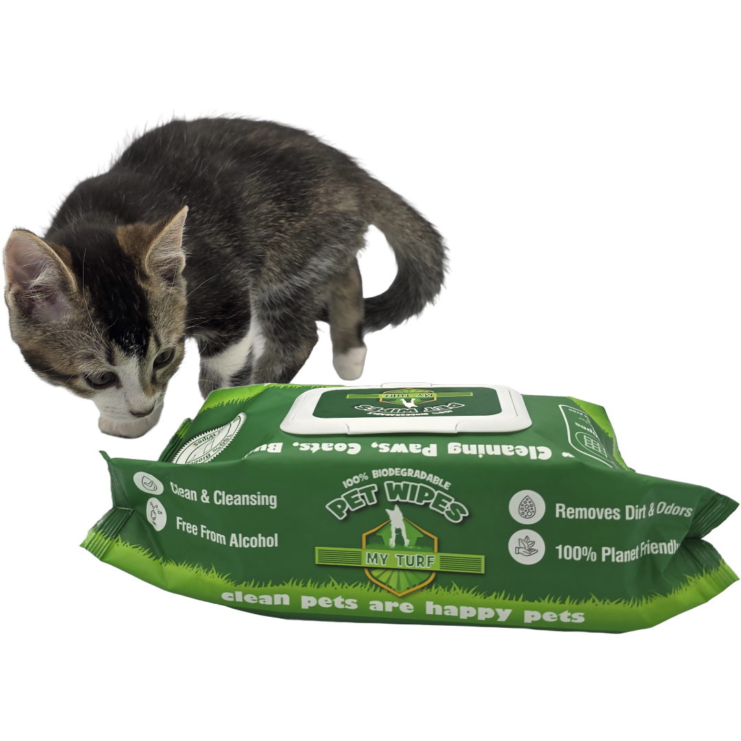 Kitten with My Turf 100 Pack Pet Wipes, a small tabby and white kitten sniffing a horizontally placed, green retail soft pack of MY TURF PET WIPES, which is marked as 100% Biodegradable and Free From Alcohol.