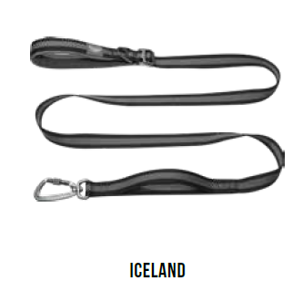 Doco Vertex Double Handle Walking/Traffic Hiking Leash, model Iceland. A long black leash with a gray reflective stripe down the center and a silver carabiner clip.