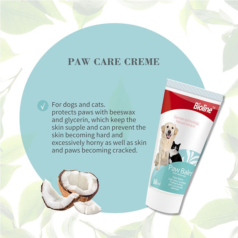 This promotional image for Bioline Paw Care Creme features the tube alongside a cracked coconut against a leafy green background. The text states the cream is for dogs and cats and protects paws with beeswax and glycerin, which keeps the skin supple. It further claims to prevent the skin from becoming hard and excessively horny, as well as skin and paws becoming cracked.