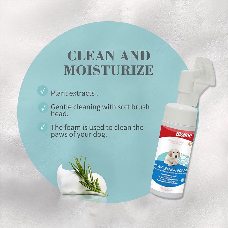 This promotional image for Bioline Paw-Cleaning Foam emphasizes the title "CLEAN AND MOISTURIZE". Key benefits are listed on a light blue circular background alongside the product bottle and a sprig of rosemary: the foam contains plant extracts, provides gentle cleaning with its soft brush head, and is used to clean the paws of your dog.
