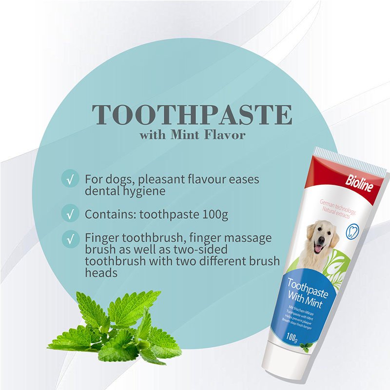Marketing image for Bioline Mint Flavoured Pet Toothpaste. The image shows the tube of toothpaste, a sprig of mint leaves, and a list of product features inside a large blue circle: 'For dogs, pleasant flavour eases dental hygiene,' 'Contains: toothpaste 100g,' and 'Finger toothbrush, finger massage brush as well as two-sided toothbrush with two different brush heads.