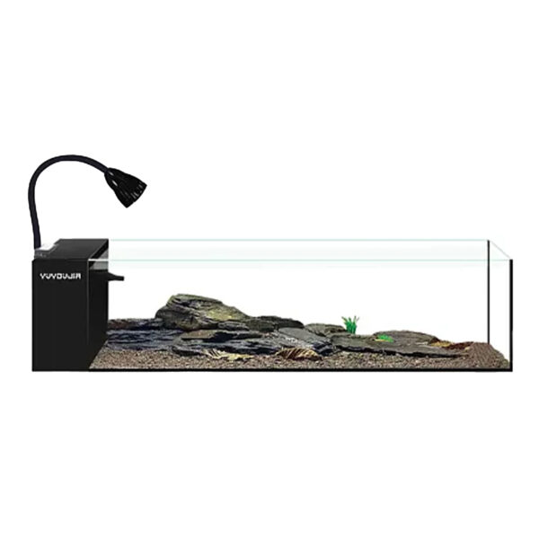 A clear, long, and shallow Jiyan XT Series Frameless Aquarium (600 × 150 × 150 mm) with black trim, illuminated by an LED light bar across the top. The tank is set on a light-colored surface and contains a planted aquascape with green aquatic plants, dark substrate, and a piece of driftwood. The overall look is a wide, natural, and minimalist display.