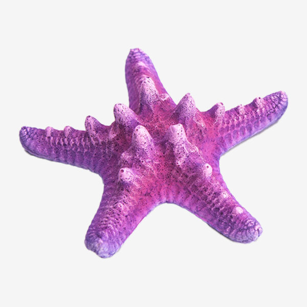 Pink Sea Star aquarium ornament, a vibrant five-pointed starfish with a speckled pink color and raised bumps.