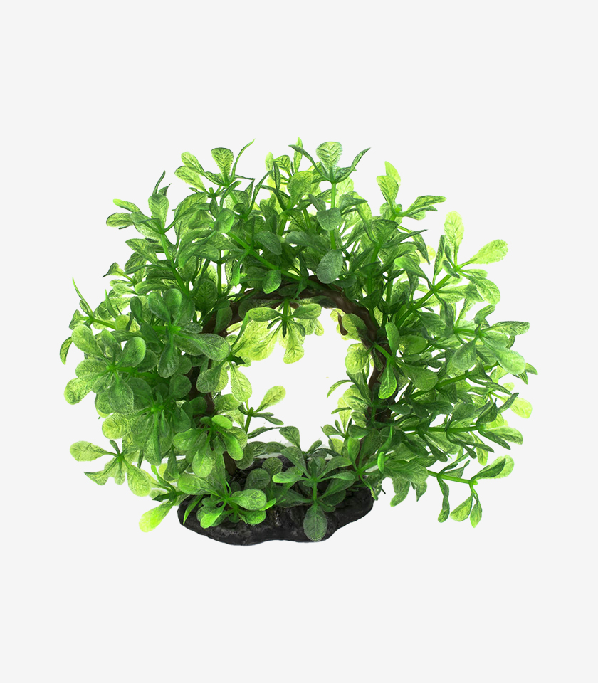 Ring of Greenery aquarium ornament, a circular plant decoration with vibrant green leaves arranged in a ring.