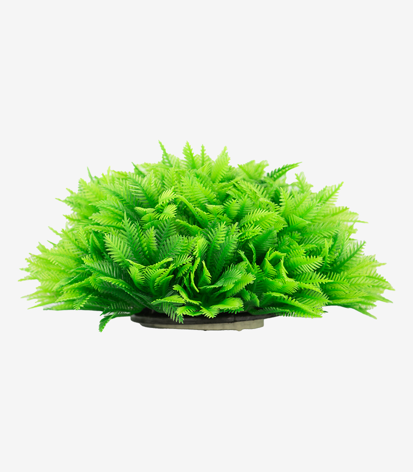 Ferny Green Shrub aquarium ornament, a large, bushy plant with lush green fronds and a feathery texture.