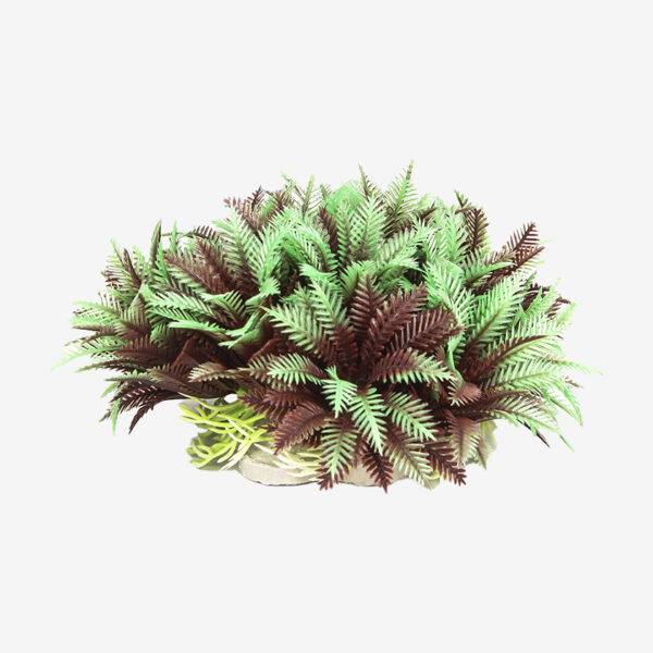 Peppermint Bush aquarium decoration, a large, bushy plant with lush green and brown feathery leaves.