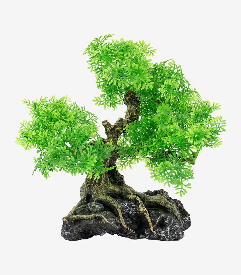 Bonsai Tree aquarium ornament, a realistic bonsai tree with a twisted trunk and exposed roots on a rock.