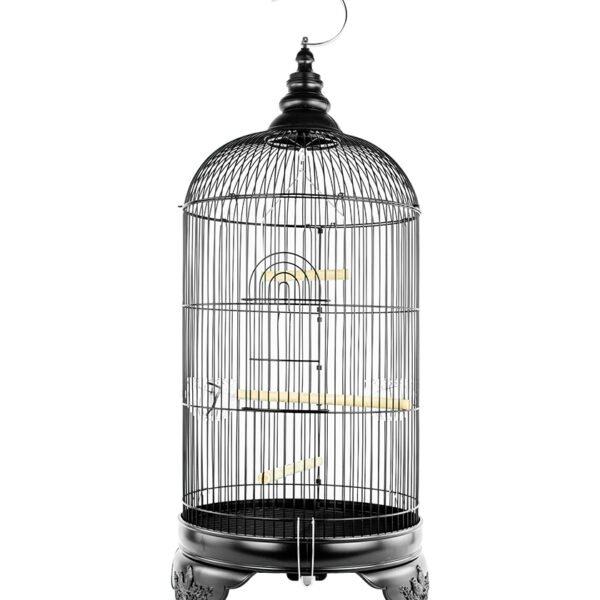 Zugo Aviary 6 Black Cage, a tall, black wire bird cage with a domed top, with an ornate base, a hook on top, and two wooden perches inside.
