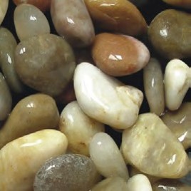Oceanmax Highland Stream Fish Tank Substrate Stones, a close-up image showing a mixture of medium to large, smooth, glossy, natural river pebbles (1-2cm stones) in warm, earthy tones of cream, white, gold, and light brown/tan.