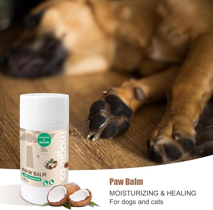 This image shows the Magicoco Paw Balm with Coconut Oil stick in the foreground, with a dog's paw resting on a wooden floor in the background. The text emphasizes the product as "Paw Balm MOISTURIZING & HEALING For dogs and cats".