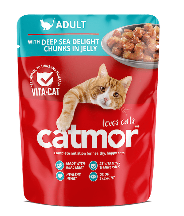 Catmor Adult wet food pouch, Deep Sea Delight Chunks in Jelly flavor, featuring an illustration of an orange and white cat.