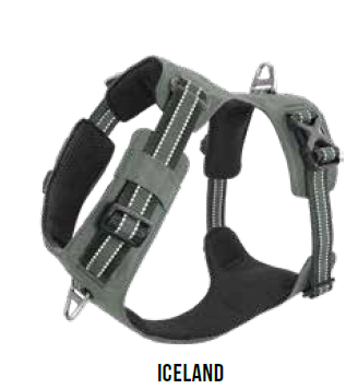 Doco Vertex Reflective Ultralight Mesh Dog Harness, model Iceland. A gray, padded, no-pull harness featuring black trim, reflective stripes, and metal D-rings on the chest and back.