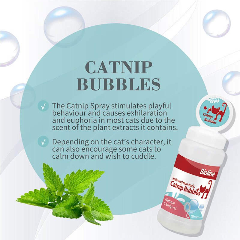 Marketing image for Bioline Catnip Bubbles. The image shows the bubble solution bottle, a sprig of catnip, and floating bubbles. Text explains the benefits: 'The Catnip Spray stimulates playful behaviour and causes exhilaration and euphoria...it can also encourage some cats to calm down and wish to cuddle.