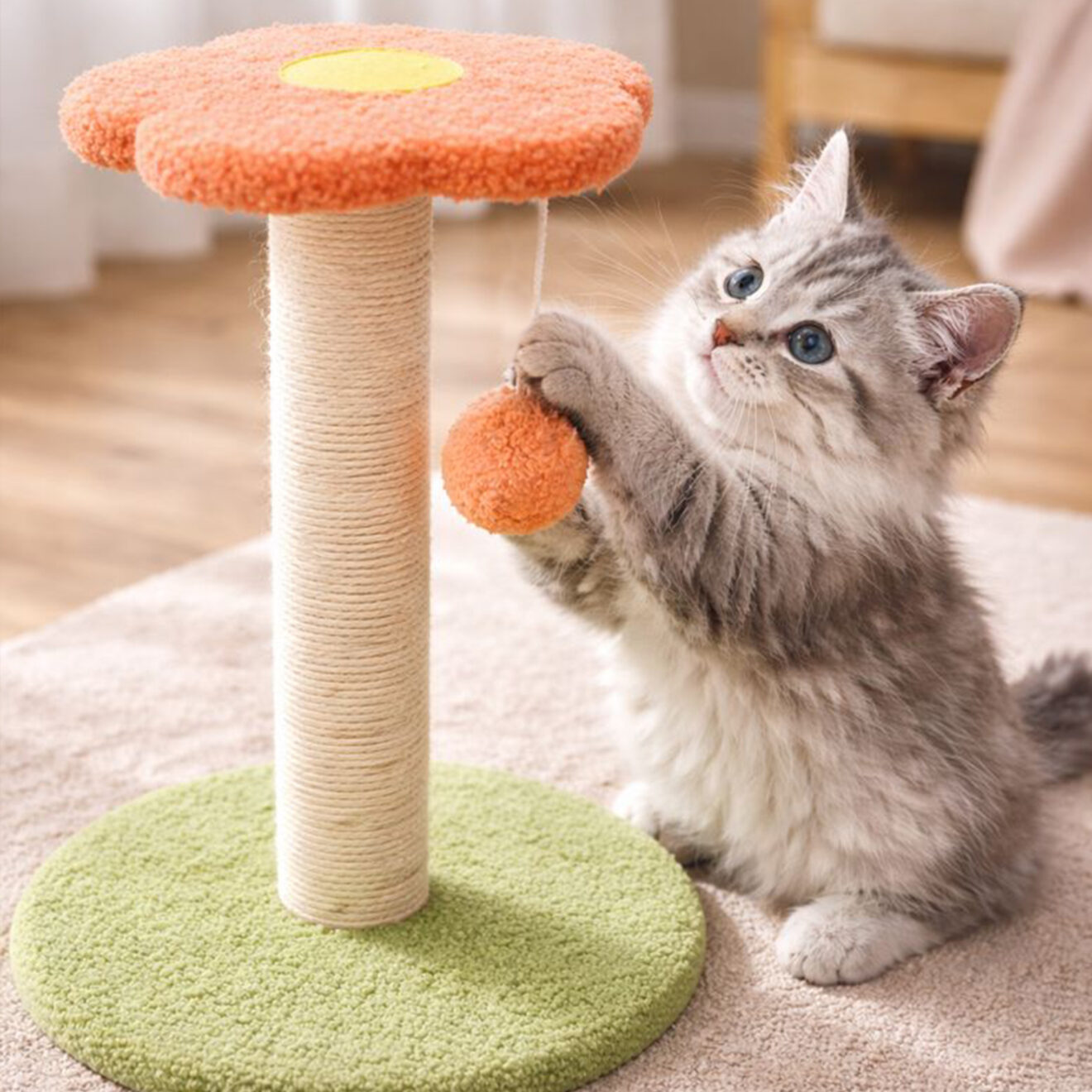 33 00004 SCRATCHER CAT BLOOM PETAL POST 2 1320x1320